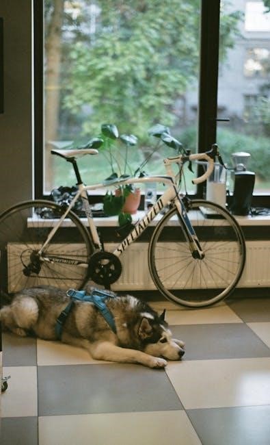 indoor cycling training plan pdf indoor cycling training plan pdf