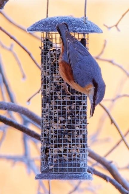 bird feeder plans pdf bird feeder plans pdf